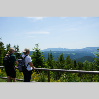 Aussicht von der Arzberghütte in der Oststeiermark | © Oststeiermark Tourismus | Jasmin Perhofer