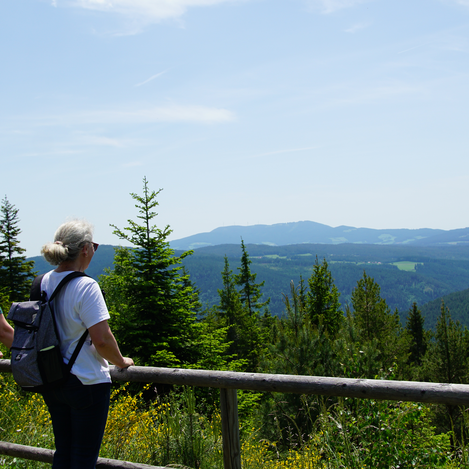 Aussicht von der Arzberghütte in der Oststeiermark | © Oststeiermark Tourismus | Jasmin Perhofer