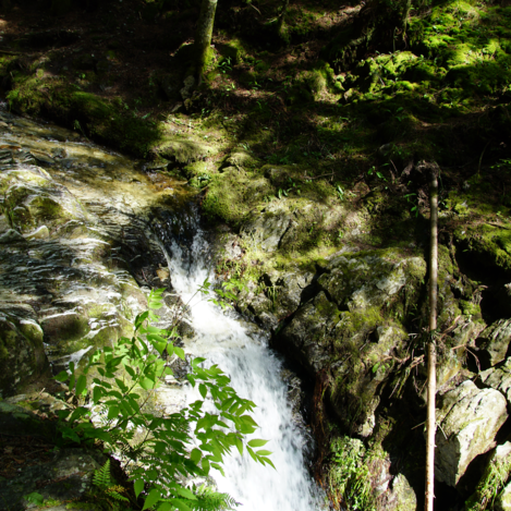Romai Wasserfall in der Oststeiermark | © Jasmin Perhofer