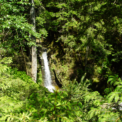Romai Wasserfall in der Oststeiermark | © Jasmin Perhofer