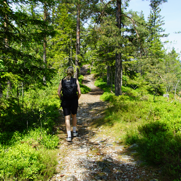 Wandern zum Arzberg-Gipfel | © Jasmin Perhofer