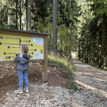 Masen.Berg im Naturpark Pöllauer Tal | ©  Oststeiermark Tourismus | Manuela Schnur