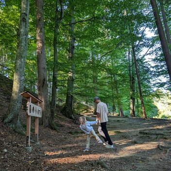 Naturkraftpark im Naturpark Pöllauer Tal | ©  Oststeiermark Tourismus | Manuela Schnur