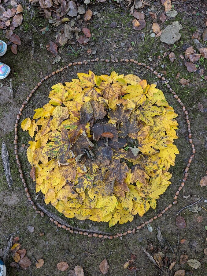 Blätter im Naturpark Pöllauer Tal