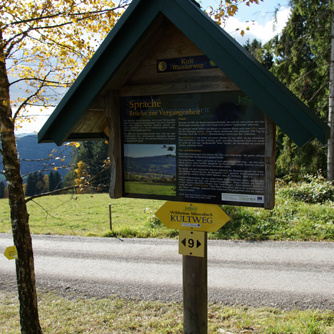 Informationstafel entlang des Kultwegs in Miesenbach bei Birkfeld | Jasmin Perhofer