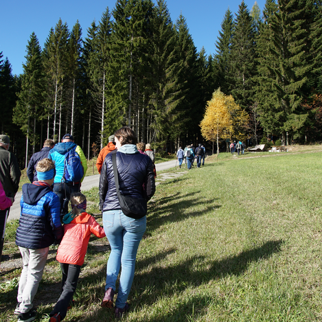 Wanderung zur Wildwiese entlang des Kultwegs | Jasmin Perhofer