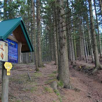 Informationstafel entlang des Kultwegs in Miesenbach bei Birkfeld | Jasmin Perhofer