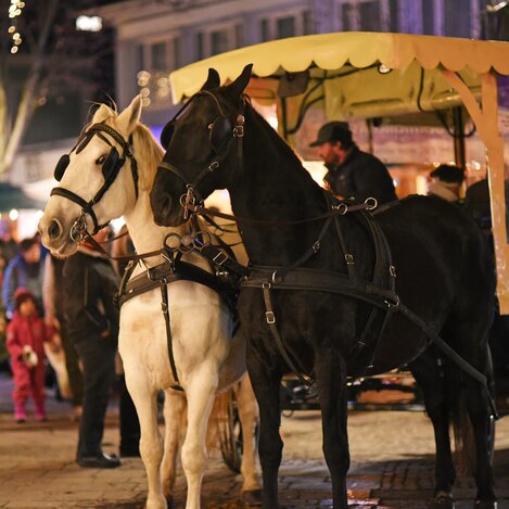 Pferde mit Kutsche bei der Weizer Weihnachtswelt | © 
Oststeiermark Tourismus | Stefan Pflanzl