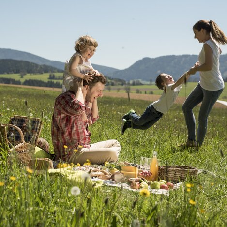 Familienpicknick auf der Alm | © Bergmann Bernhard | Oststeiermark Tourismus