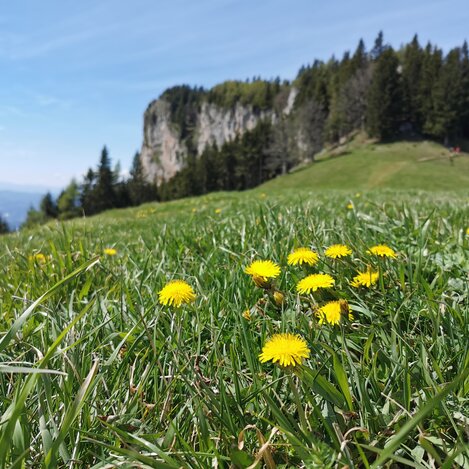 Rote Wand | © Chiara Raith | Oststeiermark Tourismus