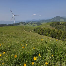 Wandern auf der Sommeralm im Frühling