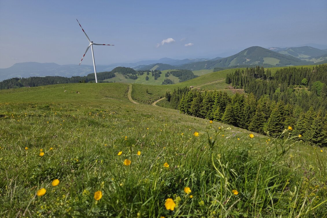 Wandern auf der Sommeralm | © Chiara Raith | Oststeiermark Tourismus