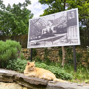 Kater Peterl | © Oststeiermark Tourimus | Roswitha Schweighofer