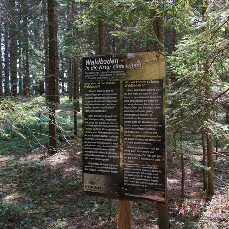Waldbaden entlang des Kraftpfads | Jasmin Perhofer