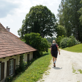 Wandern von St. Jakob im Walde nach Wenigzell