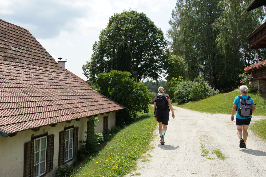 Wandern von St. Jakob im Walde nach Wenigzell | Jasmin Perhofer