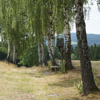 Wandern von St. Jakob im Walde nach Wenigzell | Jasmin Perhofer