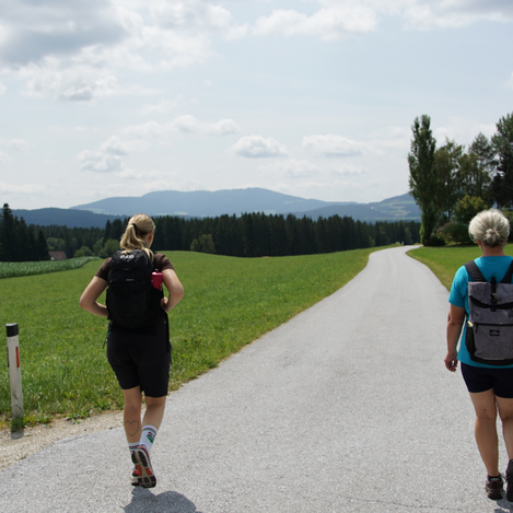 Weg nach Wenigzell entlang des Kraftpfads | Jasmin Perhofer