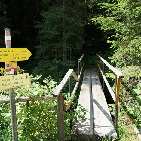 Waldweg entlang des Kraftpfads | Jasmin Perhofer