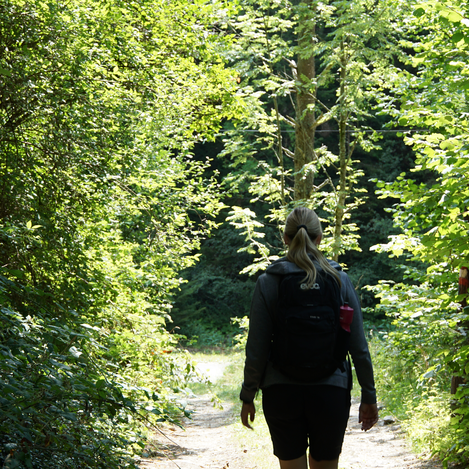 Waldweg entlang des Kraftpfads | Jasmin Perhofer