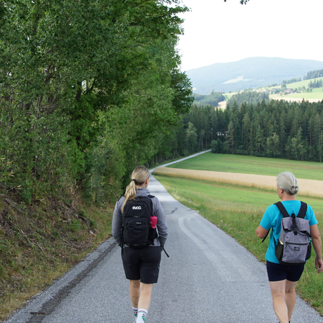 Anfang Kraftpfad in St. Jakob im Walde | Jasmin Perhofer