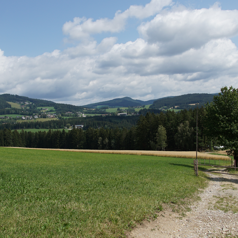 Weg nach Wenigzell entlang des Kraftpfads | Jasmin Perhofer