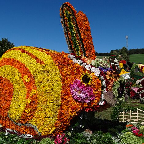 Blumenkorso 2019 in St. Kathrein am Offenegg | © Steirische Blumenstraße