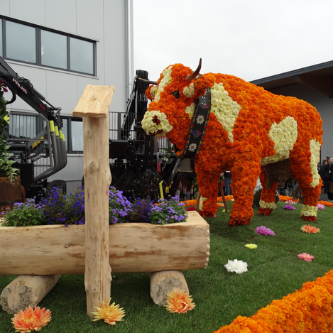 Blumenkorso 2017 in Fischbach | © Steirische Blumenstraße
