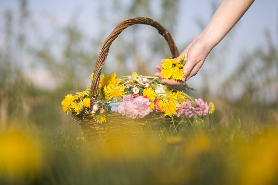 Blumenkorb mit Löwenzahn in der Oststeiermark | © TV Oststeiermark | Maria Rauchberger