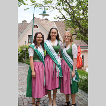 Blumenhoheiten in Pöllauberg in der Oststeiermark | © 
Oststeiermark Tourismus | Jasmin Perhofer