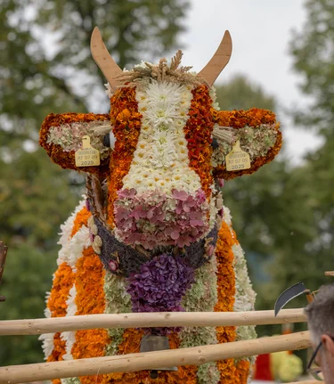 Flower parade in Vorau in Eastern Styria | ©  Oststeiermark Tourismus | Rene Strasser