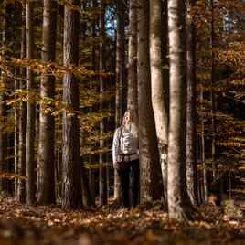 Spaziergang durch den herbstlichen Wald