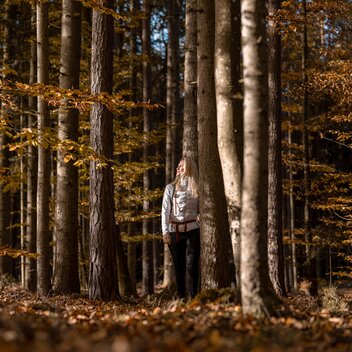 Walk through the autumn forest | © 
Oststeiermark Tourismus | Alex Lang