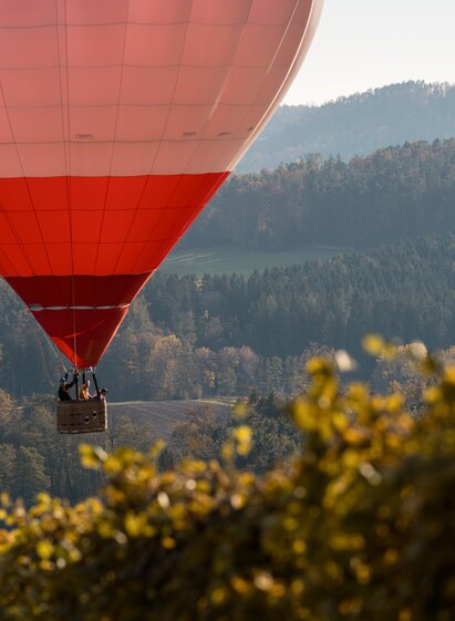 Hot air balloon over the autumnal vineyards of Eastern Styria