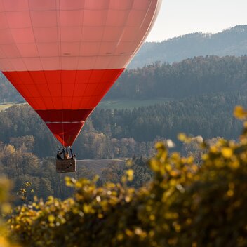 Heißluftballon über den herbstlichen Weingärten der Oststeiermark | © 
Oststeiermark Tourismus | Alex Lang