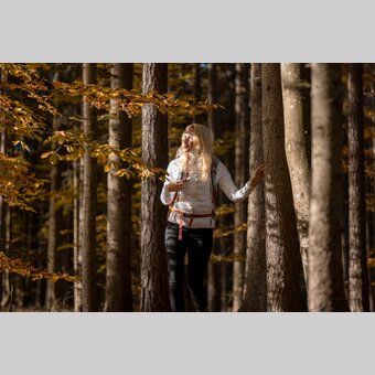Spaziergang durch den herbstlichen Wald | © 
Oststeiermark Tourismus | Alex Lang