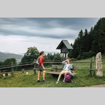 Lochstein beim Kultweg auf der Wildwiese in Miesenbach in der Oststeiermark | © 
Oststeiermark Tourismus |  Bernhard Bergmann