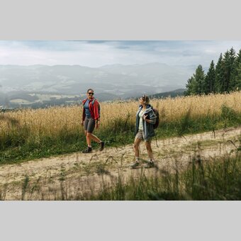Wanderer auf dem Weg zur Wildwiese in Miesenbach in der Oststeiermark | ©  Oststeiermark Tourismus |  Bernhard Bergmann