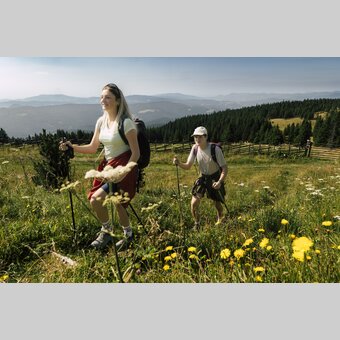 Wanderer auf der Pretul in der Oststeiermark | © 
Oststeiermark Tourismus |  Bernhard Bergmann