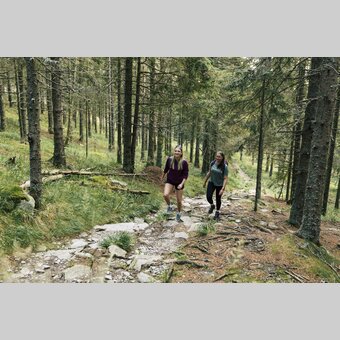 Wanderung über die Steinere Stiege im Wechselland | ©  Oststeiermark Tourismus |  Bernhard Bergmann
