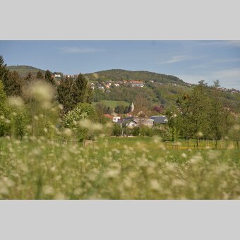 Frühlingslandschaft in Hartberg | © Oststeiermark Tourismus | Markus Lang-Bichl