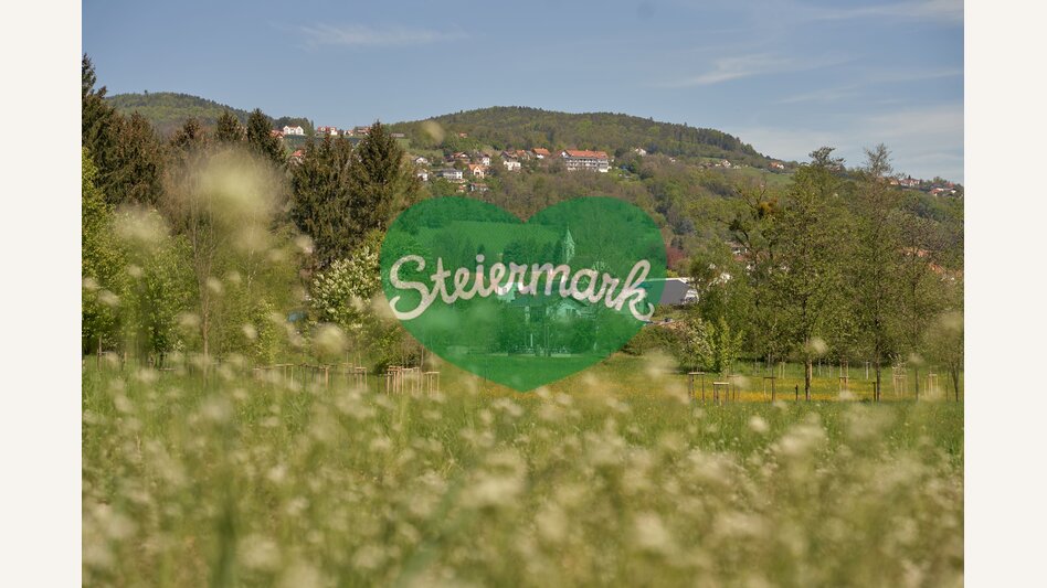 Frühlingslandschaft in Hartberg | © Oststeiermark Tourismus | Markus Lang-Bichl