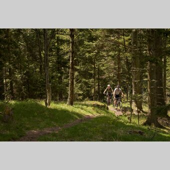 Radfahren auf den Masenberg in der Oststeiermark | ©  Oststeiermark Tourismus | Lang-Bichl - RKP