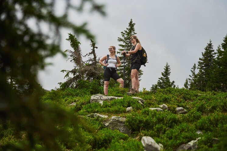 Hiking on the Hochwechsel in Eastern Styria | ©  Oststeiermark Tourismus | Markus Lang-Bichl
