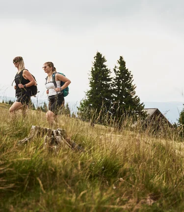 Hiking on the Hochwechsel in Eastern Styria | ©  Oststeiermark Tourismus | Markus Lang-Bichl