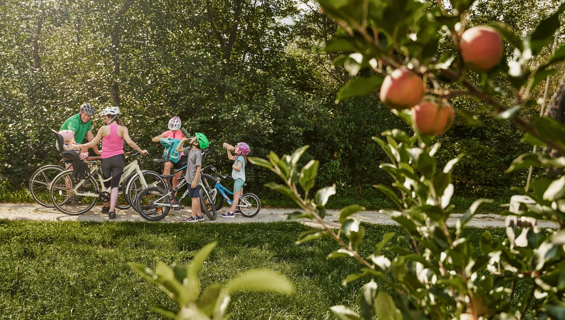 Lang-Bichl - RKP