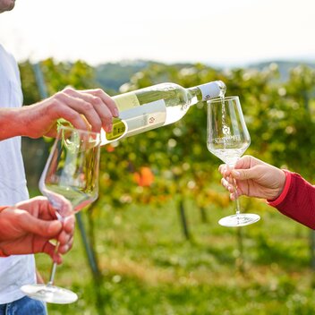 Personen verkosten Wein in einem Weingarten in Hartberg in der Oststeiermark | ©  Oststeiermark Tourismus | Markus Lang-Bichl