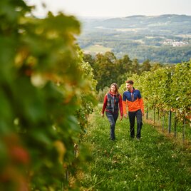 Spazieren durch die Weingärten in Hartberg in der Oststeiermark