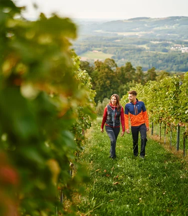 Spazieren durch die Weingärten in Hartberg in der Oststeiermark | ©  Oststeiermark Tourismus | Lang-Bichl - RKP