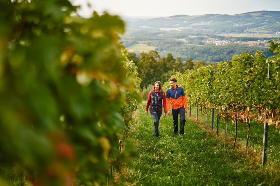 Spazieren durch die Weingärten in Hartberg in der Oststeiermark | ©  Oststeiermark Tourismus | Lang-Bichl - RKP